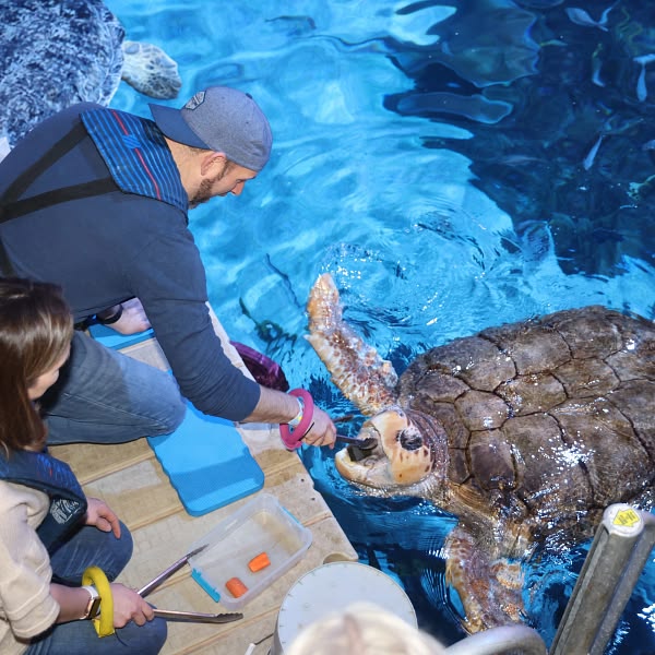 Marine Education